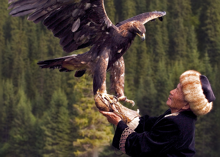 Eagle man in Kyrgyzstan